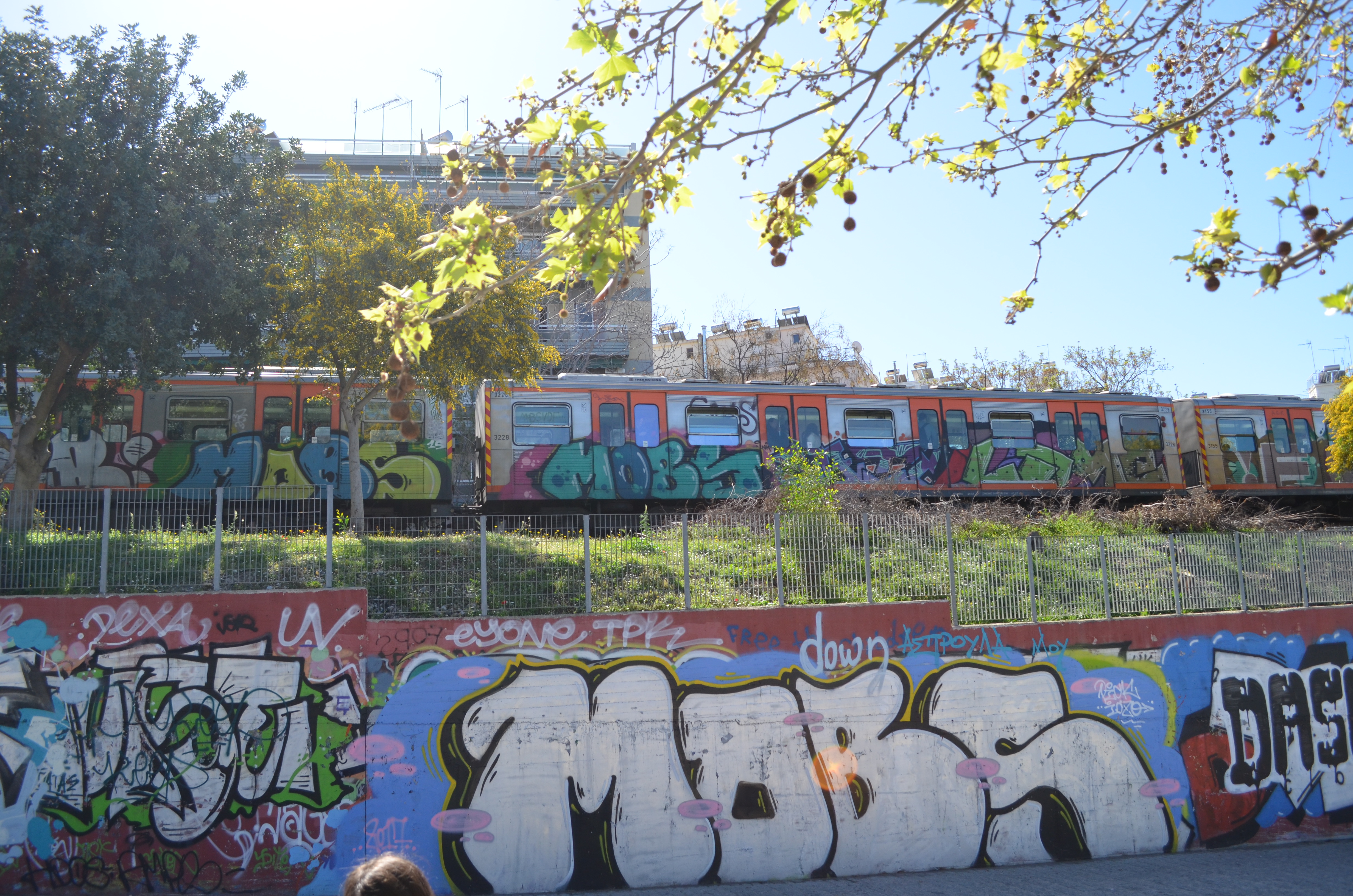 MOBS