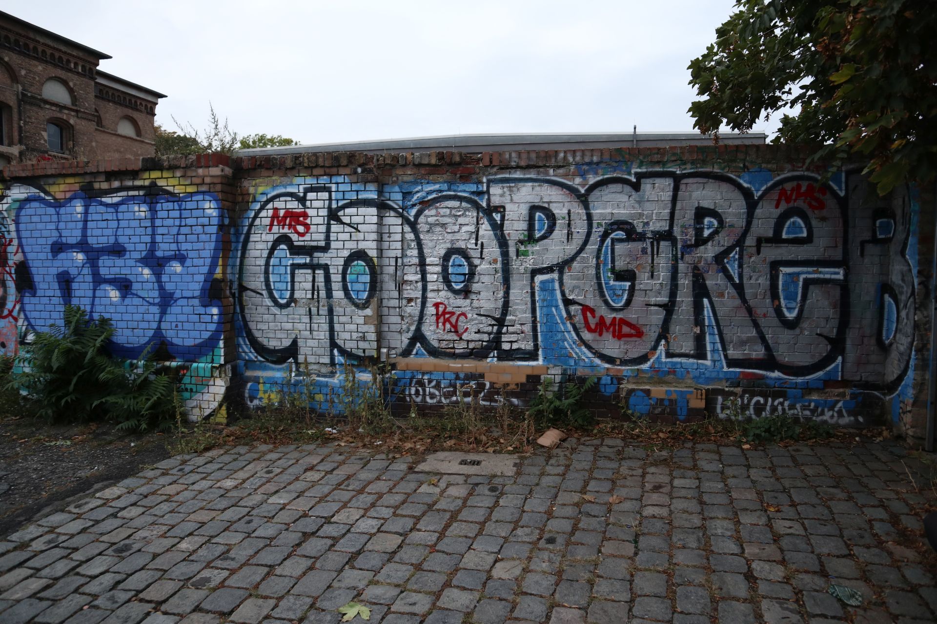 G37 COOP GREB