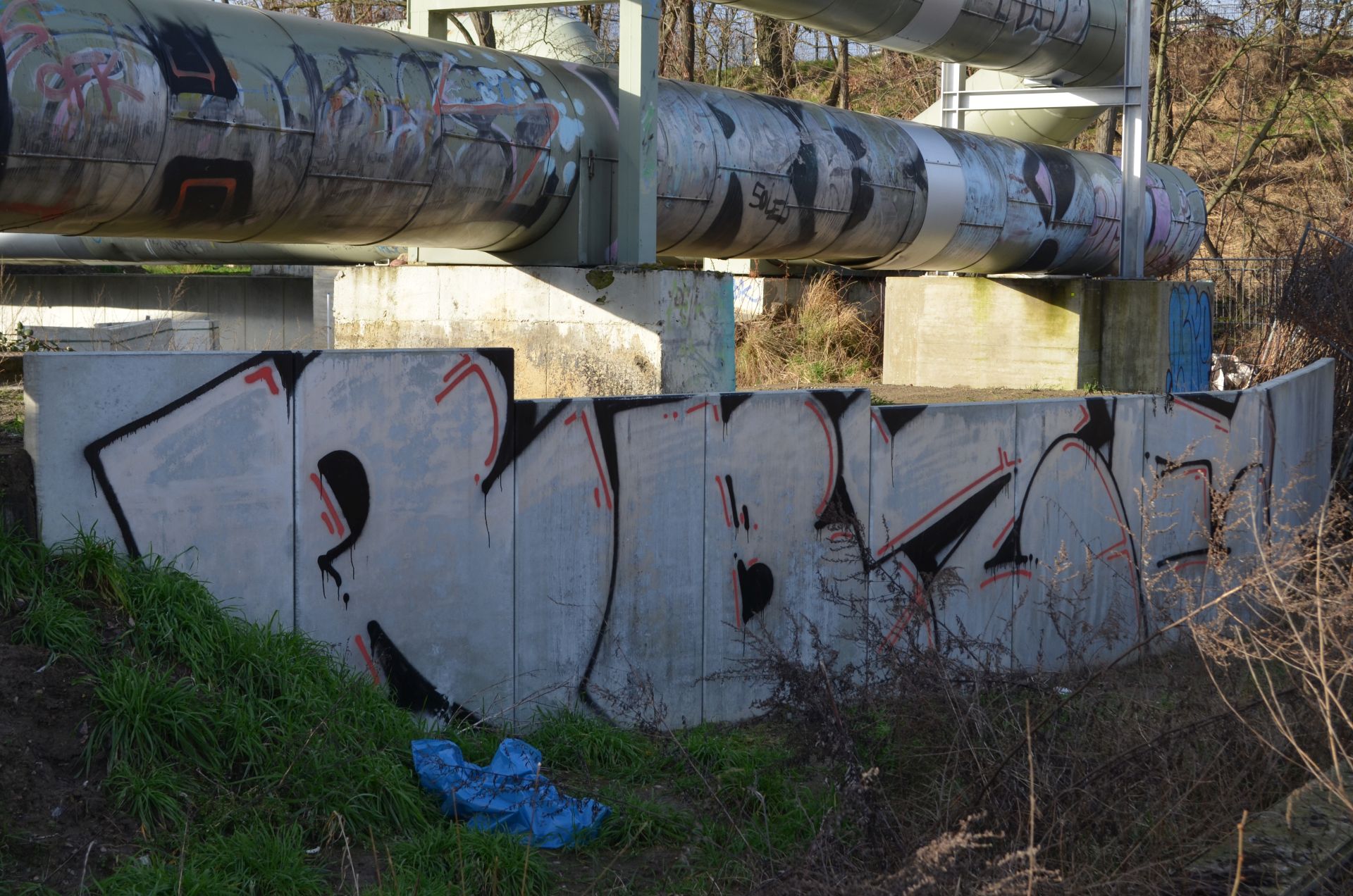 RBZE