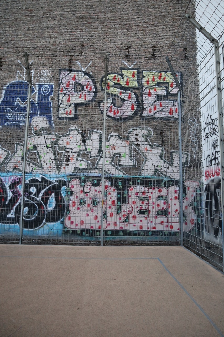 OLEEK PSE