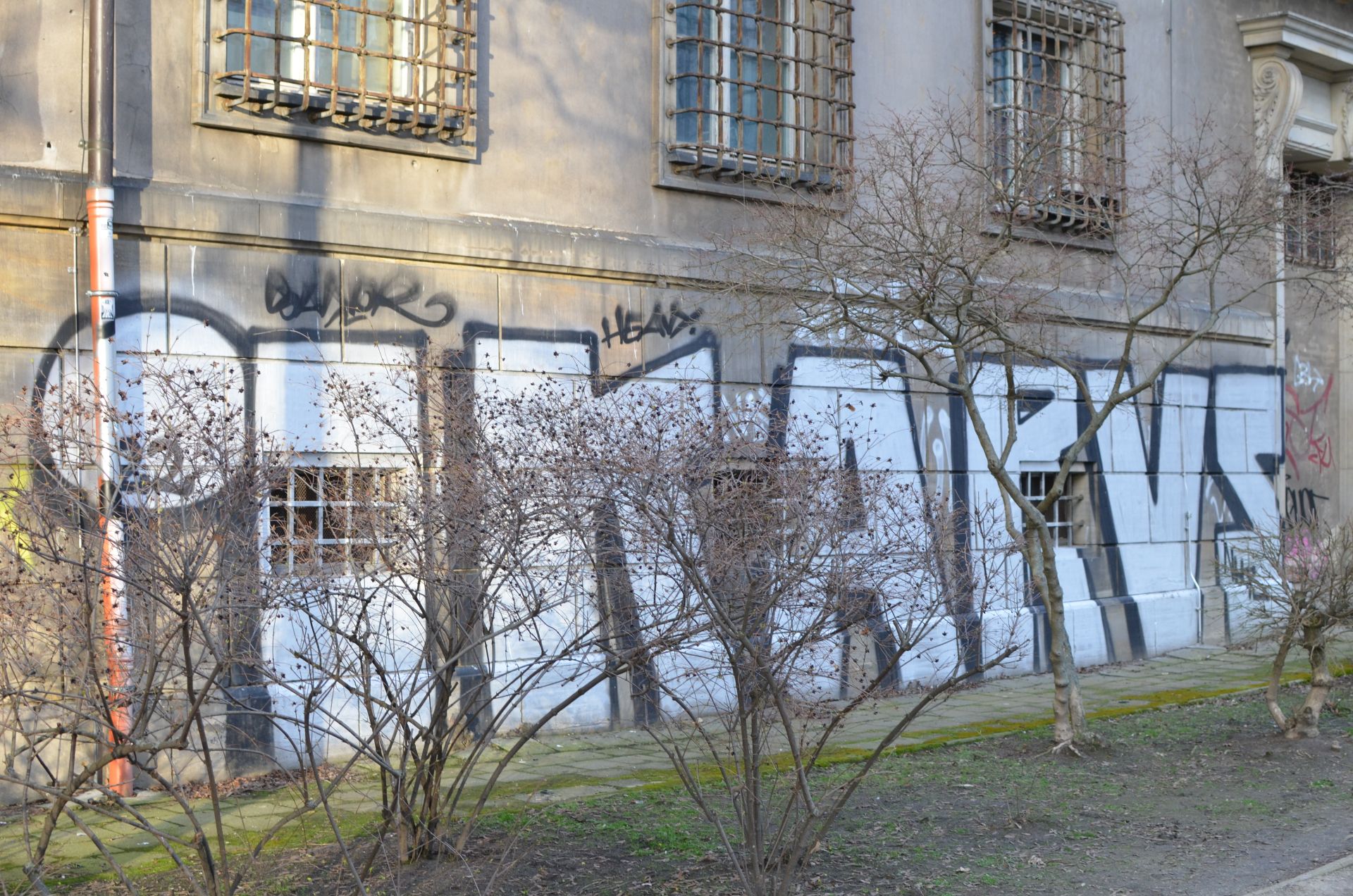 IKARUS
