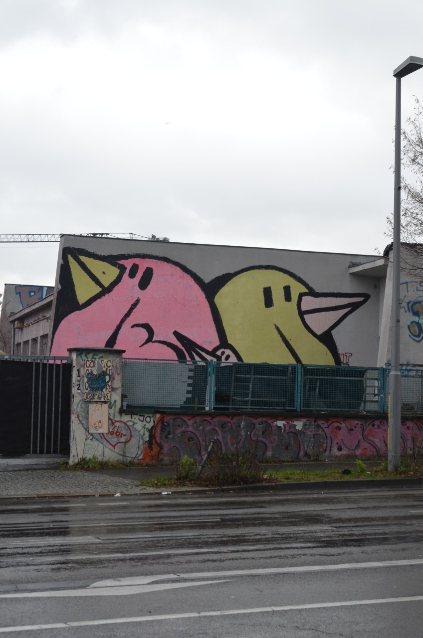BIRDS