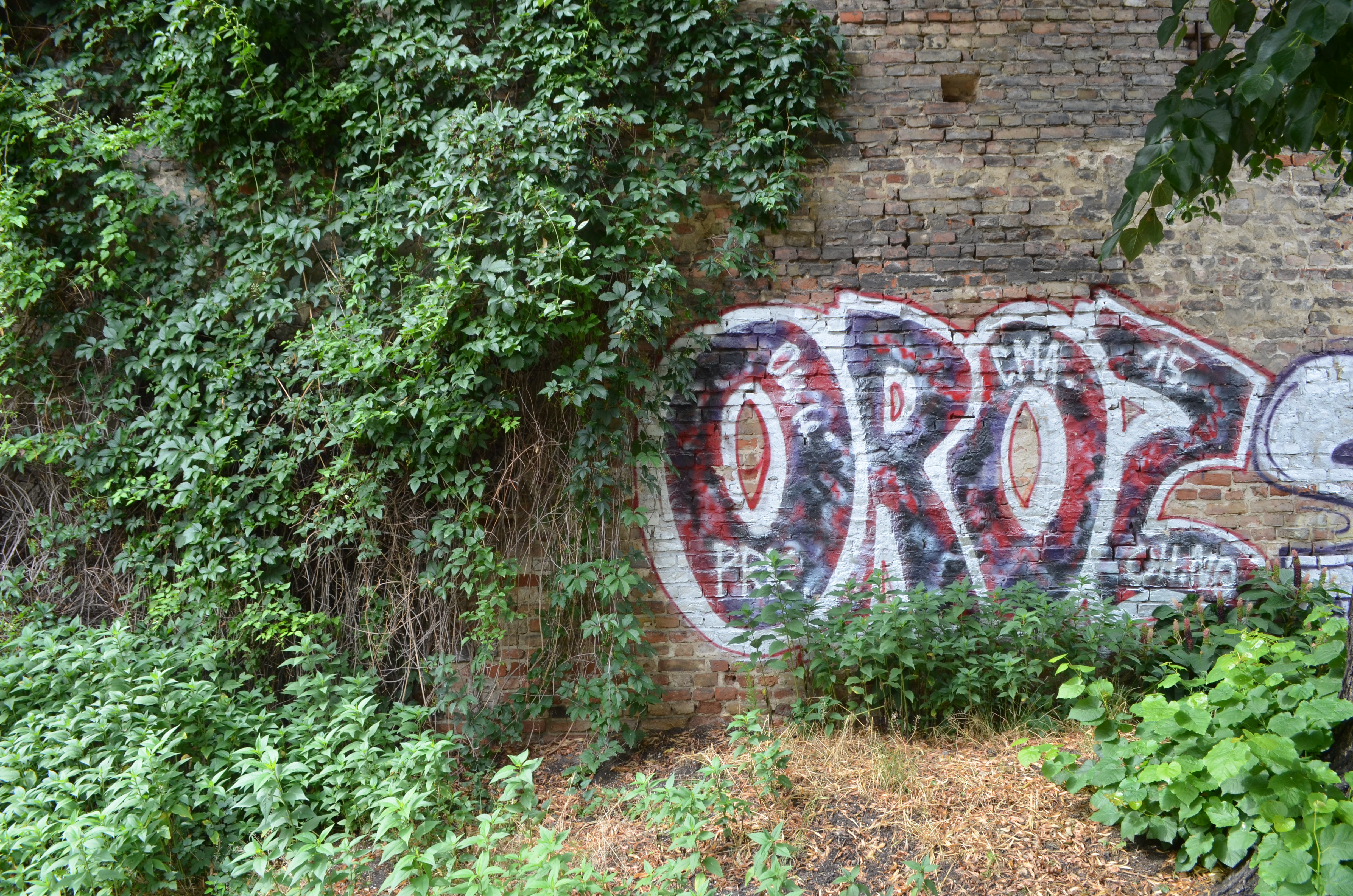 OROZ