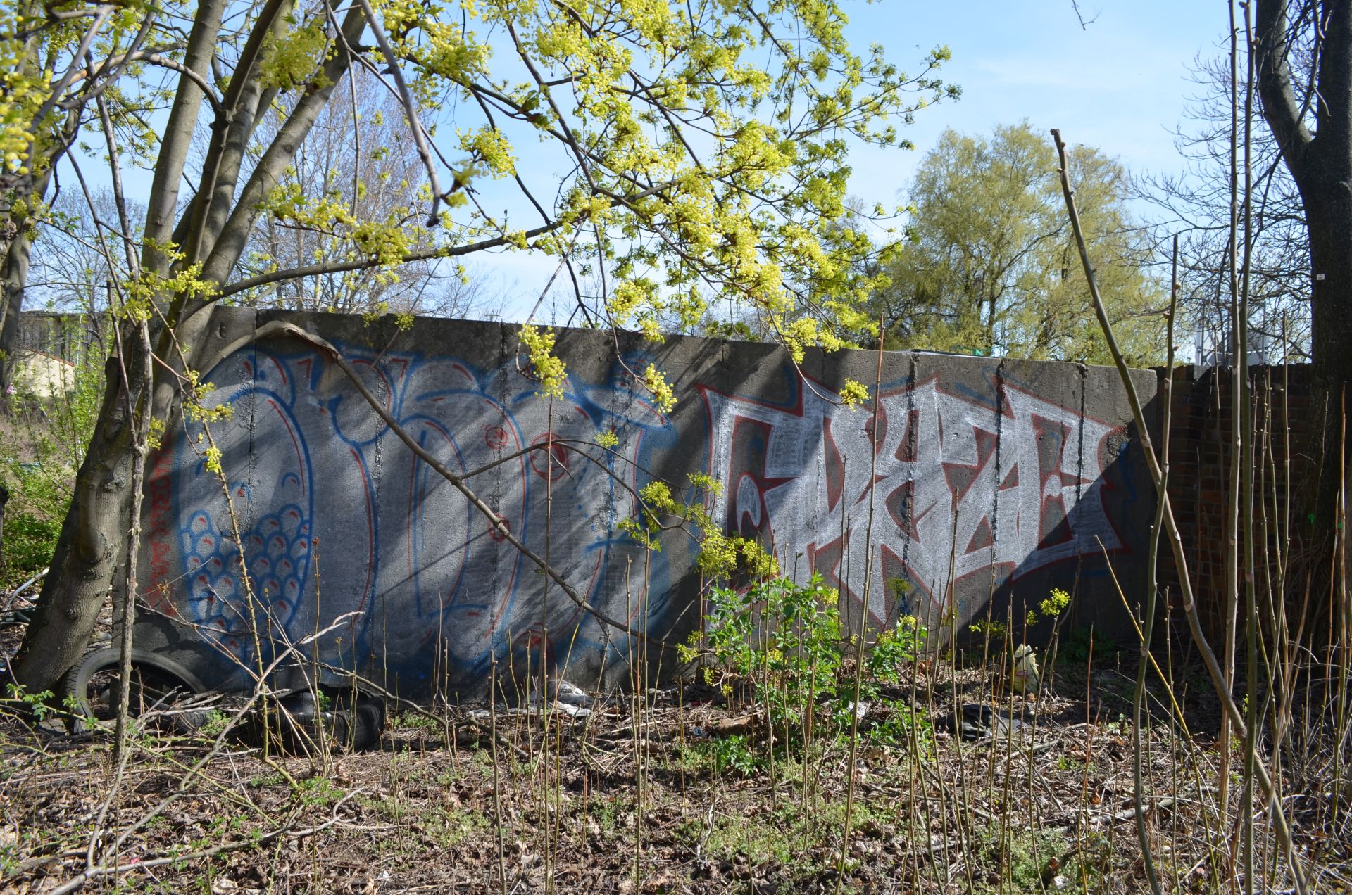 ERBSE ERBZE