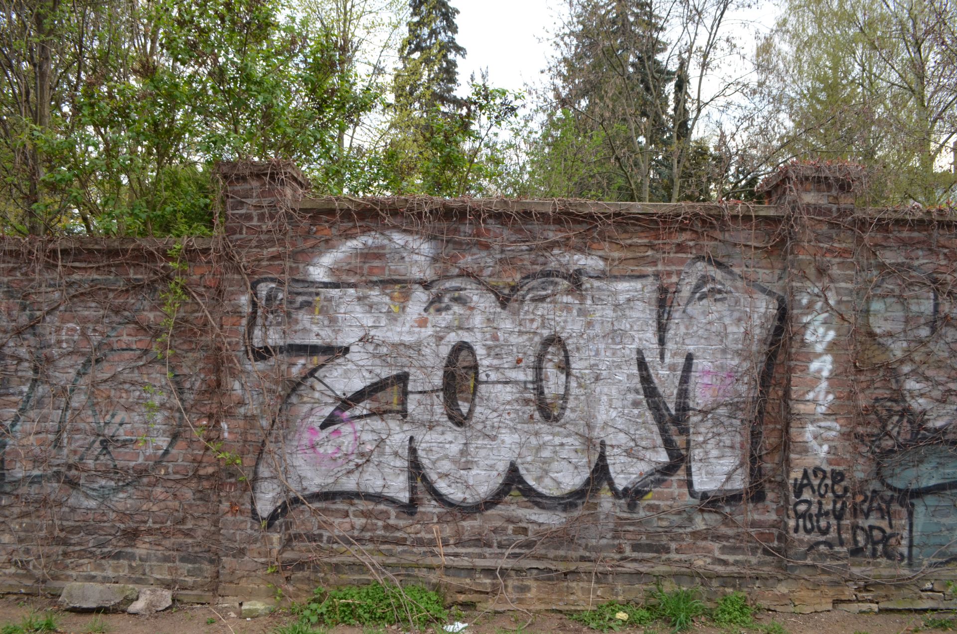 ZOOM