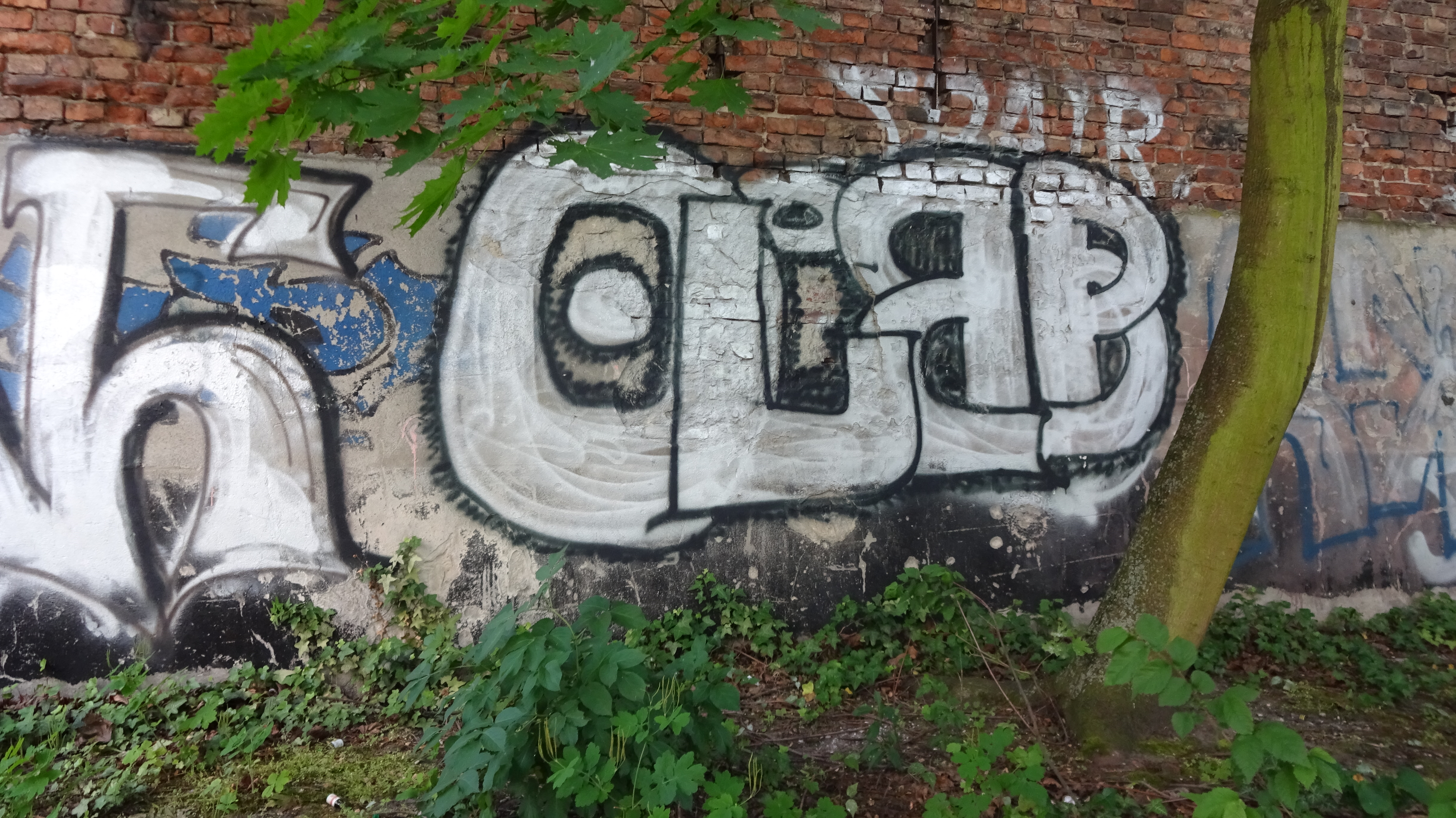 OLAF