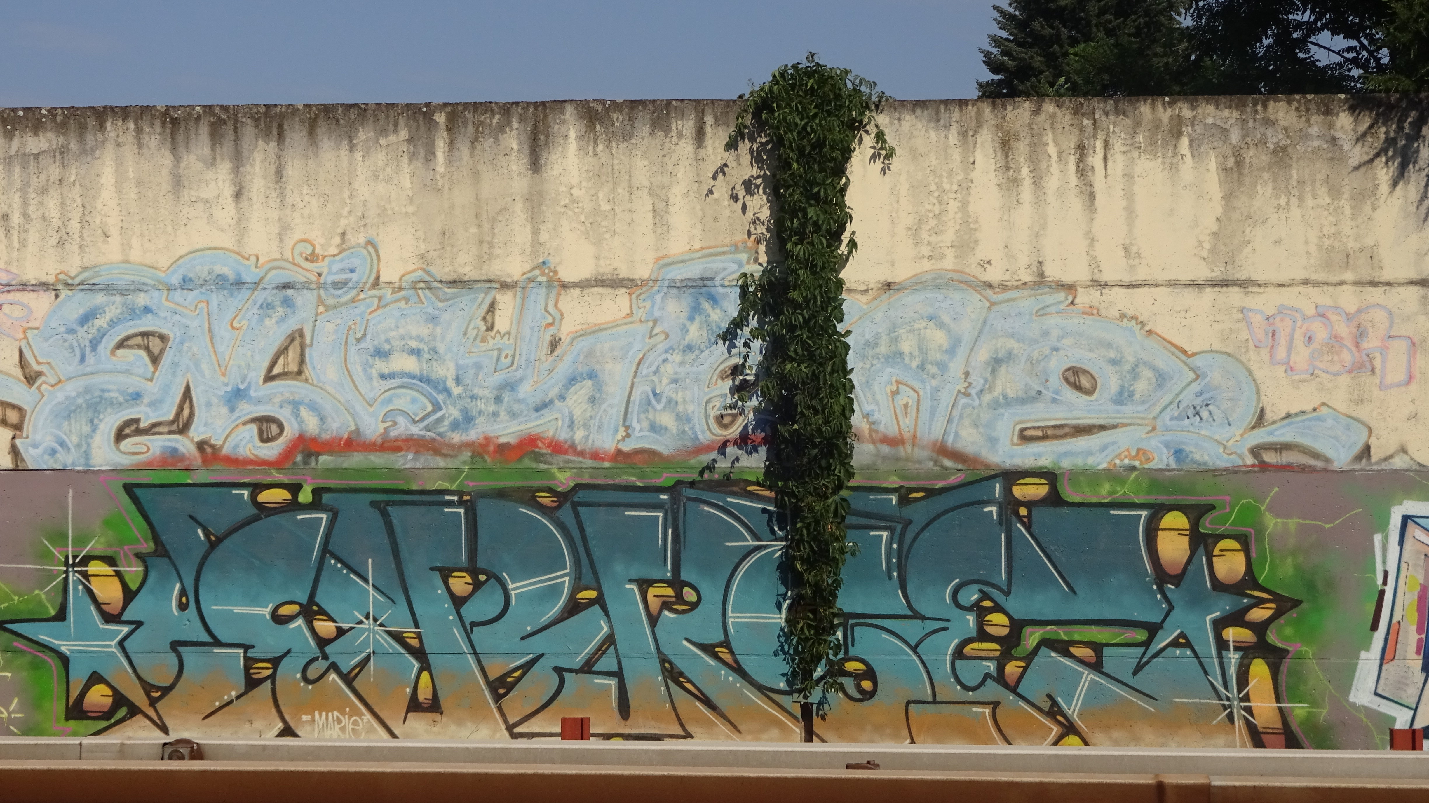 ERBSE