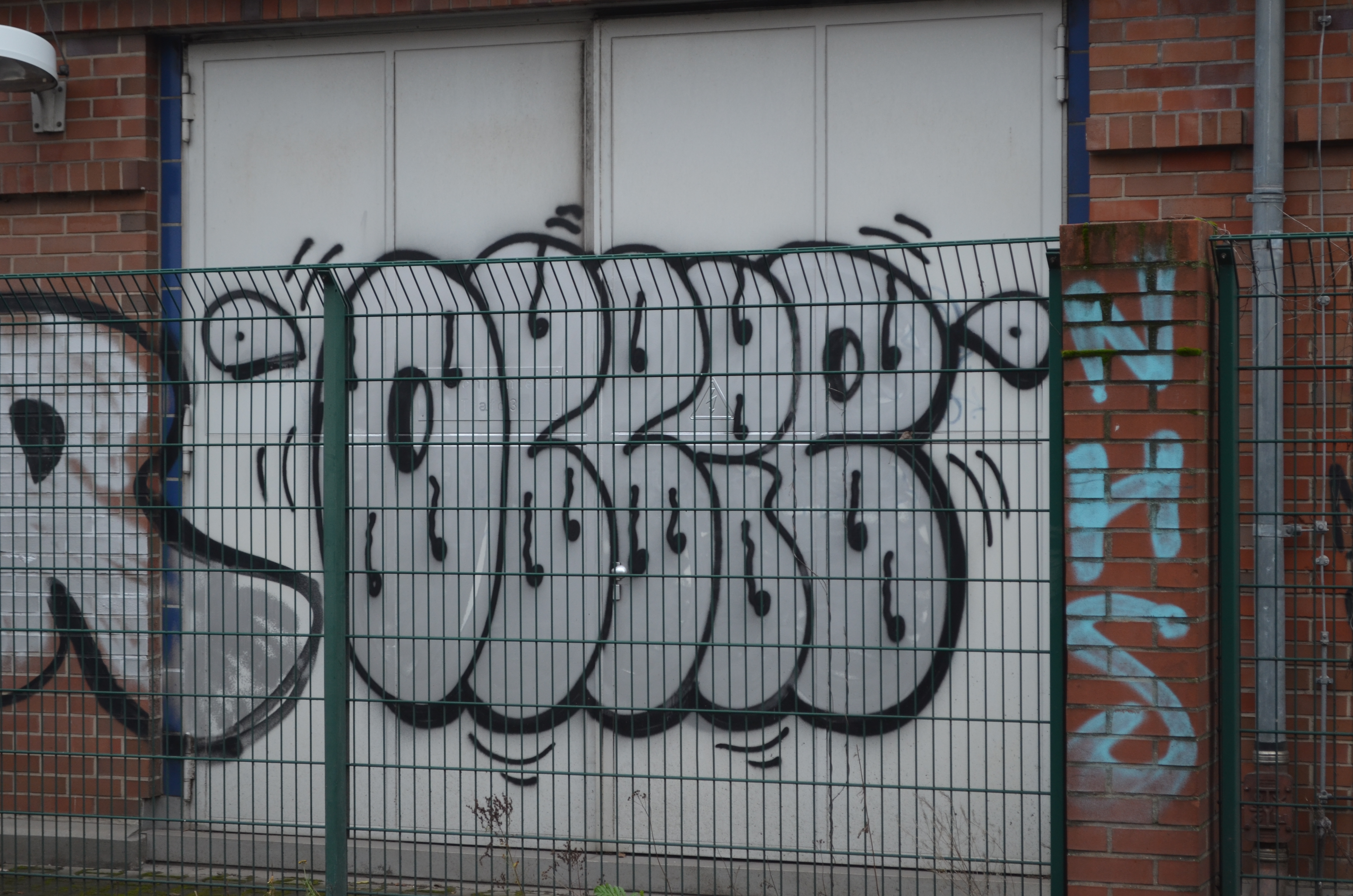OLLIE