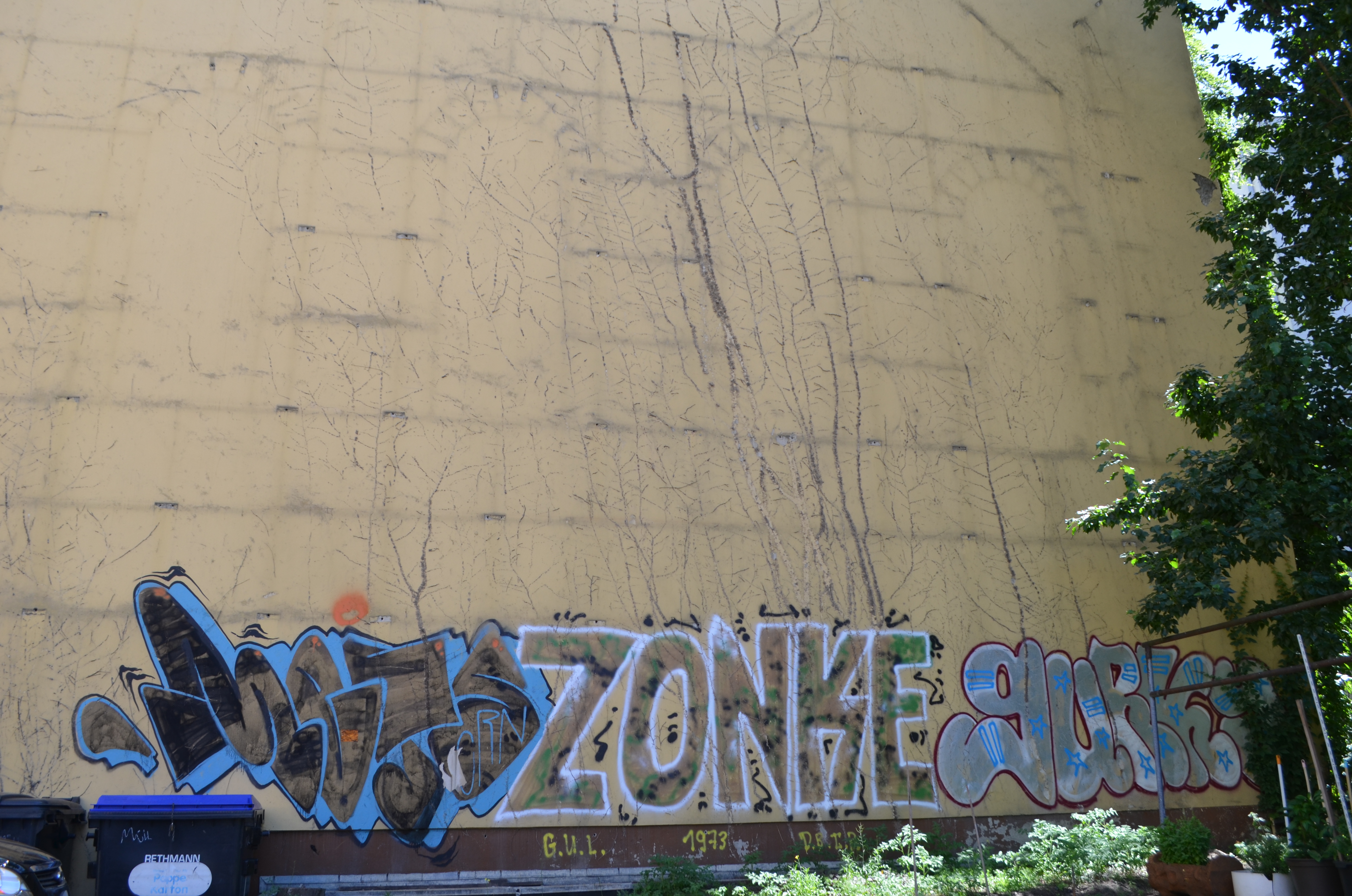 METS7 ZONKE GURKY